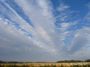 Altocumulus radiatus 01