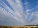 Altocumulus radiatus 01