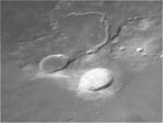 Cobra 2