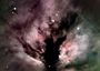 NGC 2024
