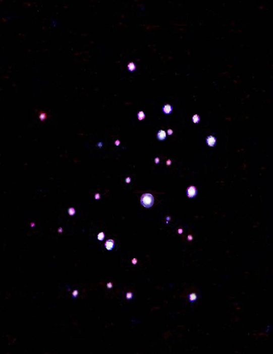 Les Pleiades