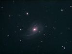NGC772 with two supernovae LRGB