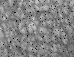 Granulation solaire du 18-04-10 (animation1)