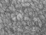 Granulation solaire du 18-04-10 (animation1)