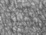 Granulation solaire du 18-04-10 (animation1)