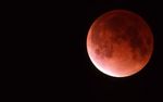 ECLIPSE AU  FOYER