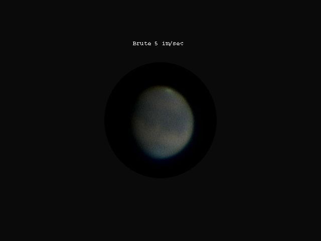 brute 5 ips