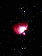 Orion