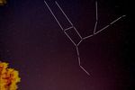 Constellation de la Grande Ourse