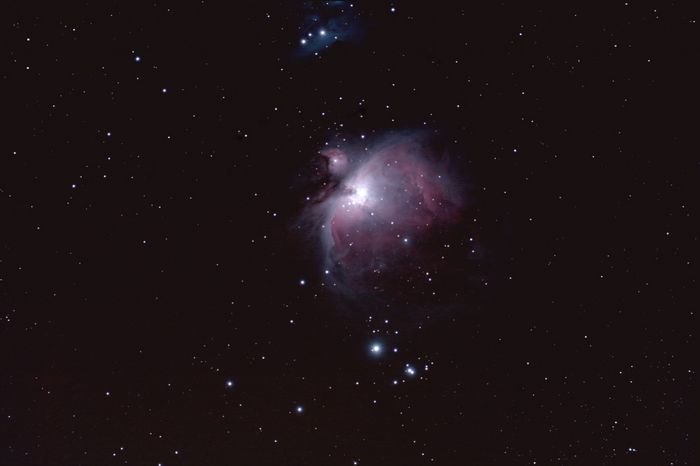 M42