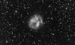 IC 5146 : cocoon nebula