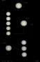 jupitermai2006