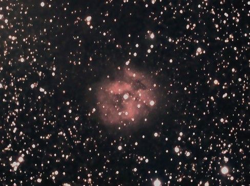 Cocoon nebula - IC 51446 - (plus dense)