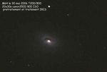 M64