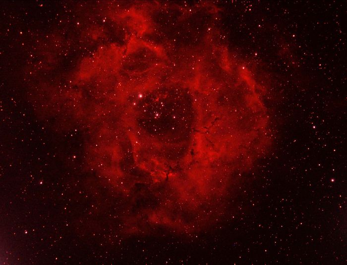 Une rose dans le ciel
