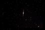 ngc4565 grand champ