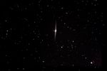 ngc4565 grand champ
