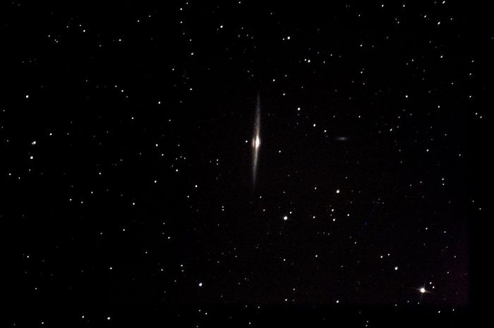 ngc4565 grand champ