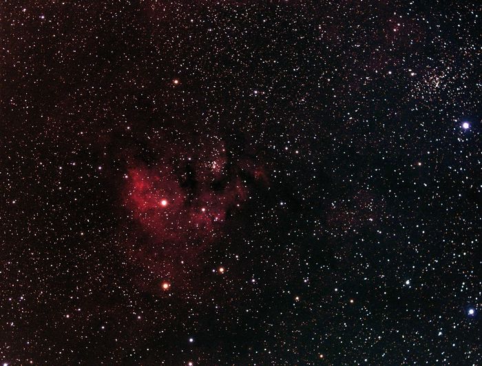 Ced-214