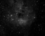 IC 410
