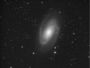 M81