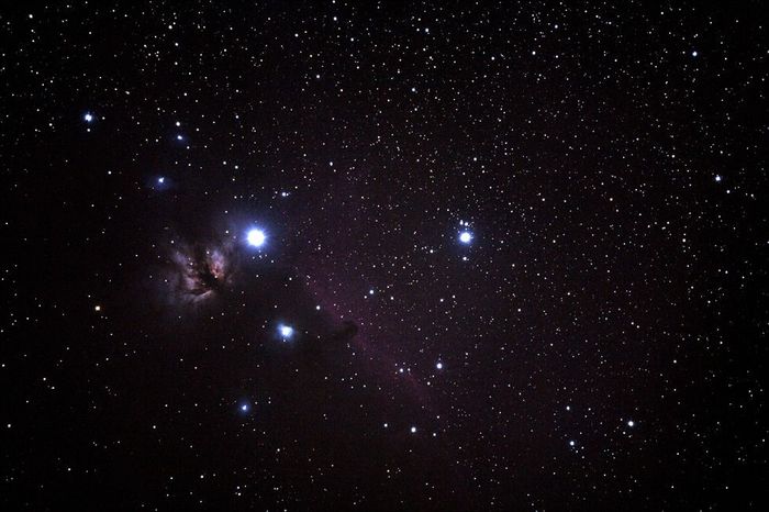Tête de cheval + NGC 2024