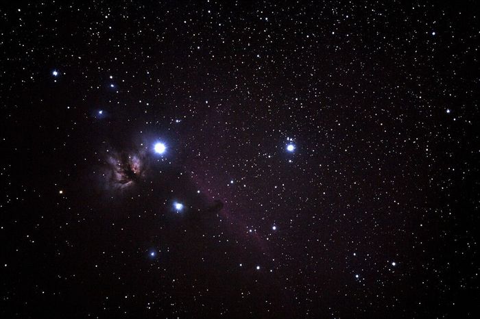 Tête de cheval + NGC 2024
