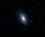 m81