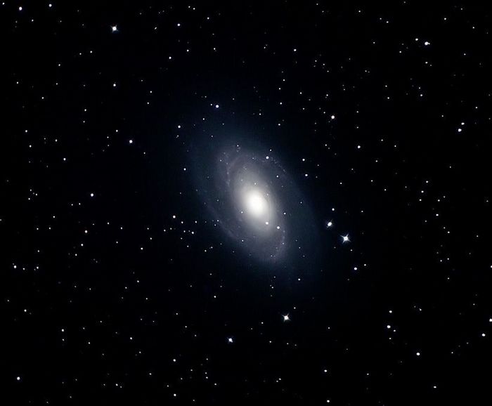 m81