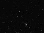 Mosa de M41