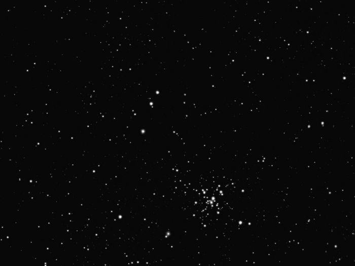 Mosa de M41
