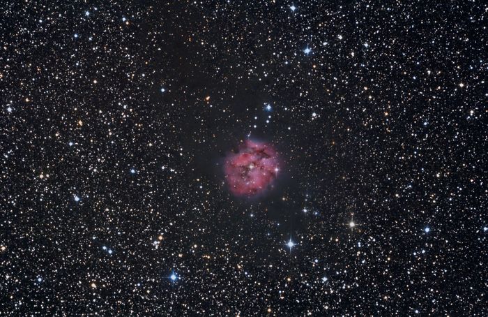 ic5146 