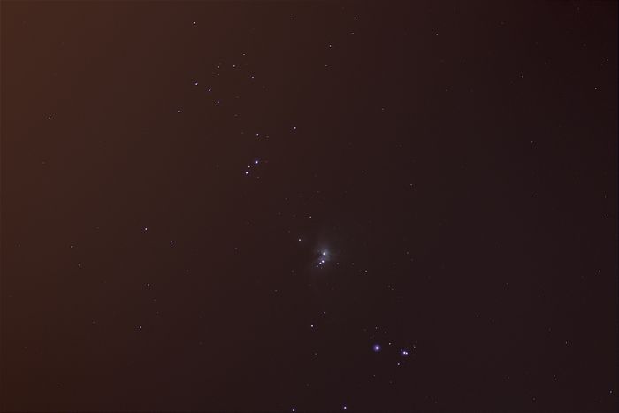 Orion