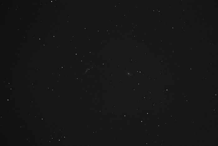 M81