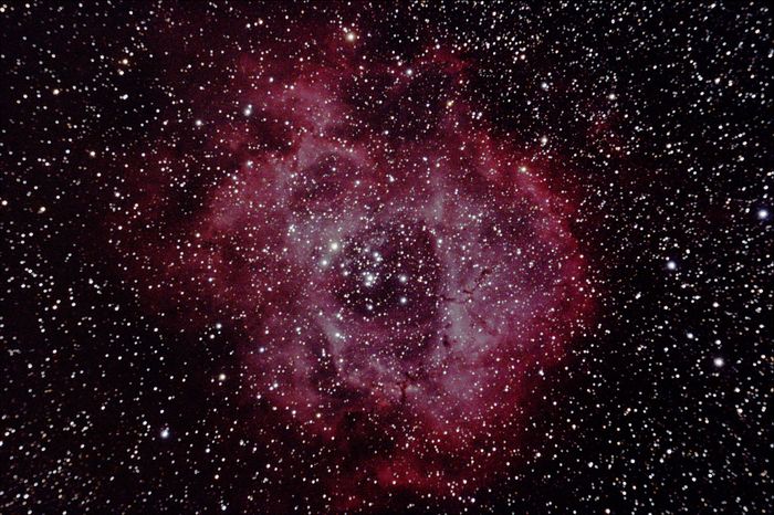 La Rosette