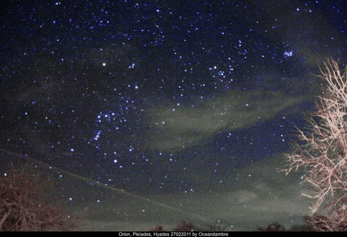 Orion