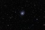 M101