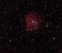 NGC 2175