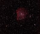 NGC 2175