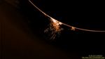 Eruption 15.06.2011