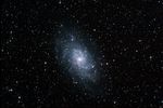 M33