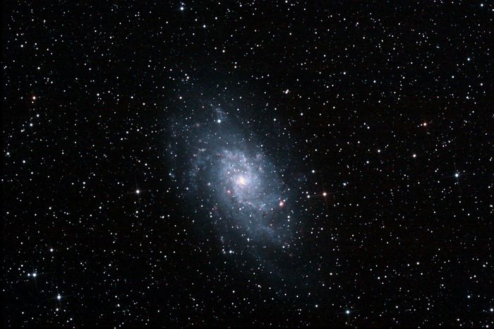 M33