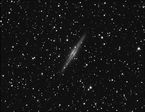 NGC 891