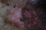 NGC7000 et pélican