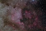 NGC7000 et pélican