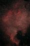 ngc 7000